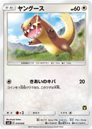 Image for Yungoos (Ash vs Team Rocket Deck Kit) (15) [AVTR]