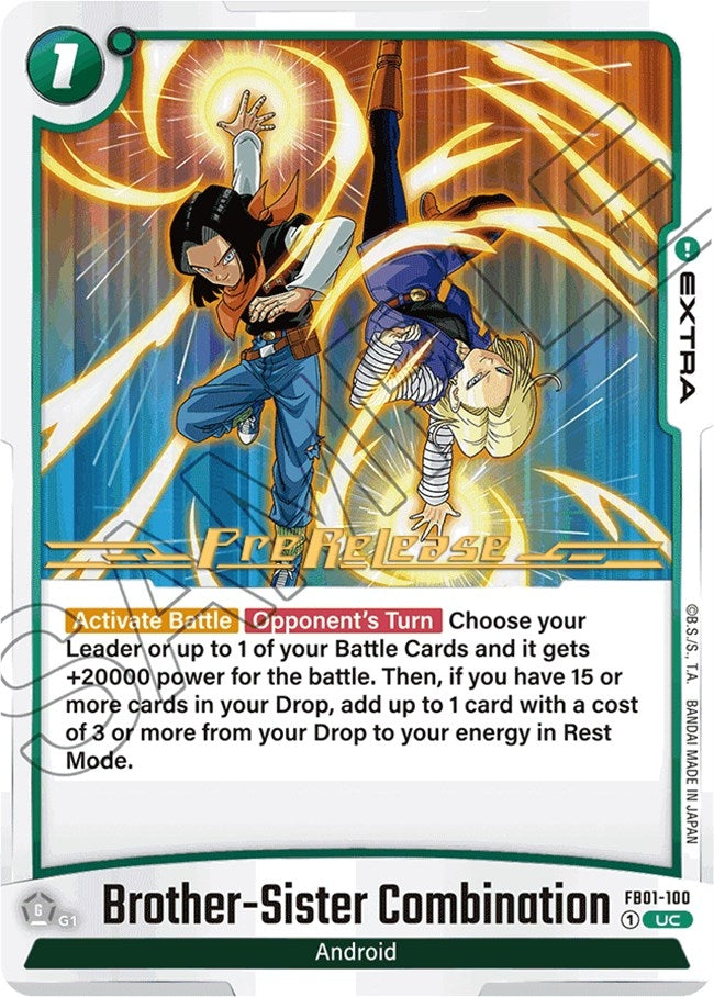 Image for Brother-Sister Combination (1100) [FB01_PR]