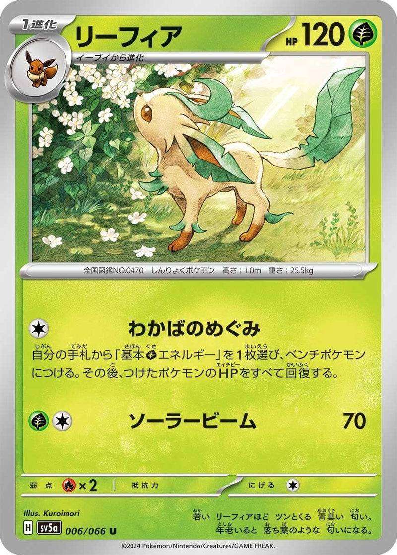 Image for Leafeon (6) (SV5a)