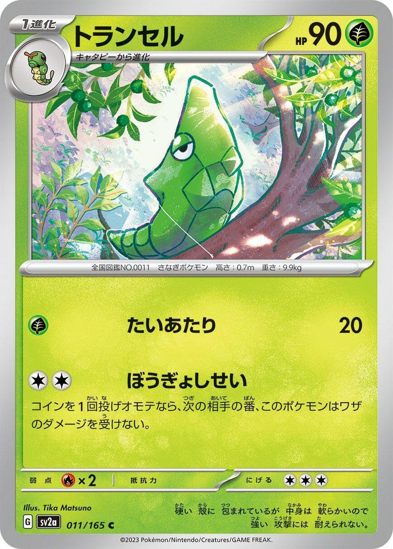 Image for Metapod (011/165) (SV2a: Pokemon Card 151) - Pokemon Japan