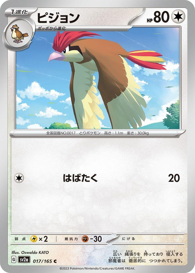Image for Pidgeotto (017/165) (SV2a: Pokemon Card 151) - Pokemon Japan