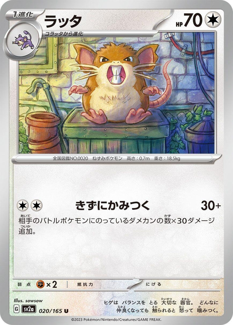 Image for Raticate (020/165) (SV2a: Pokemon Card 151) - Pokemon Japan
