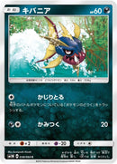 Image for Carvanha (38) (SM1M)