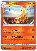 Image for Combusken (17) (SM7)