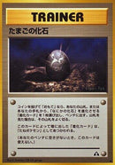 Image for Fossil Egg