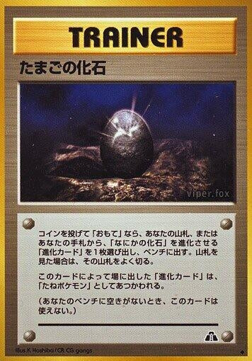 Image for Fossil Egg