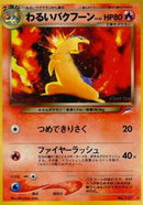 Image for Dark Typhlosion