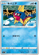 Image for Carvanha (22) (sD)