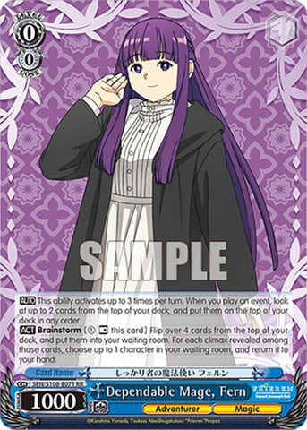 Dependable Mage, Fern [Frieren: Beyond Journey's End]