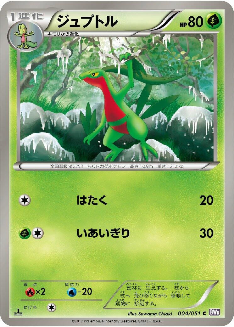 Image for Grovyle (004/051) (BW8)