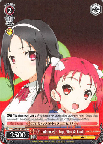 Prominence's Top, Niko & Pard (AW/S18-E074 C) [Accel World]