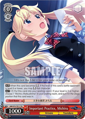 Important Practice, Michiru [The Fruit of Grisaia]