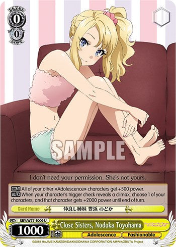 Close Sisters, Nodoka Toyohama [Rascal Does Not Dream of a Dreaming Girl]