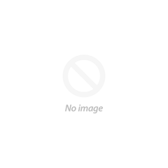 Lorcana Singles